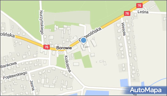 Kwiaciarnia, ul. Garwolińska 11, Borowie 08-412 - Kwiaciarnia, NIP: 8221458486