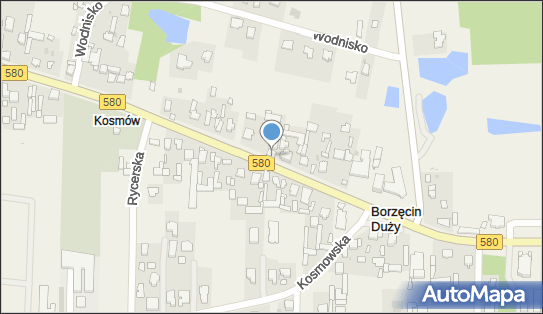 Kwiaciarnia, DW 580, Borzęcin Duży - Kwiaciarnia