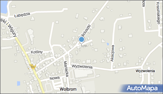 Kwiaty i Artykuły Przemysłowe, ul. Nowakowskiego 4, Wolbrom 32-340 - Kwiaciarnia, NIP: 6371014347