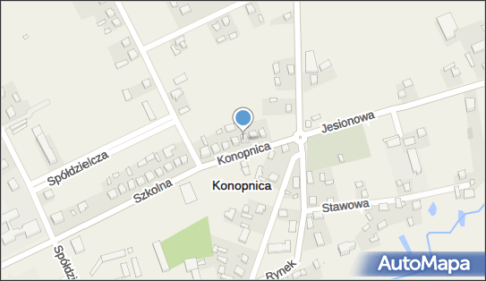 Kwiaty i Artykuły Wielobranżowe, Szkolna 3, Konopnica 98-313 - Kwiaciarnia, NIP: 8321138628