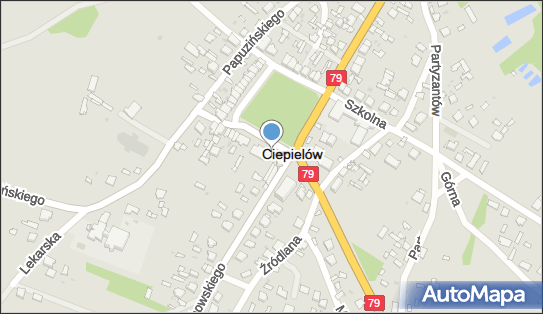 Sklep Kwiaty, pl. Zwycięstwa BN, Ciepielów 27-310 - Kwiaciarnia, NIP: 8111226042