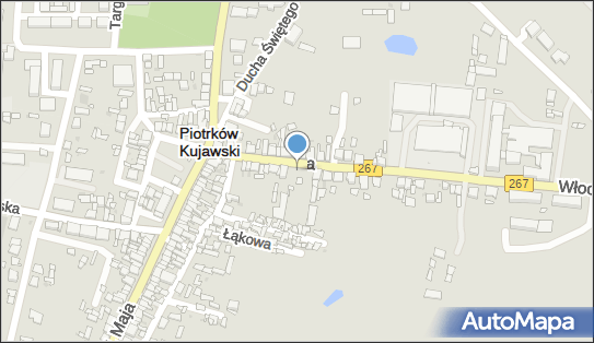 Wieńce Kwiaty Wiązanki i Dewocjonalia, Włocławska 16 88-230 - Kwiaciarnia, NIP: 8891264956