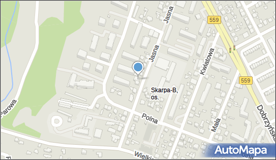 Gabinet Laryngologiczny Ireneusz Jacek Struzik, Jasna 9, Płock 09-400 - Lekarz, numer telefonu