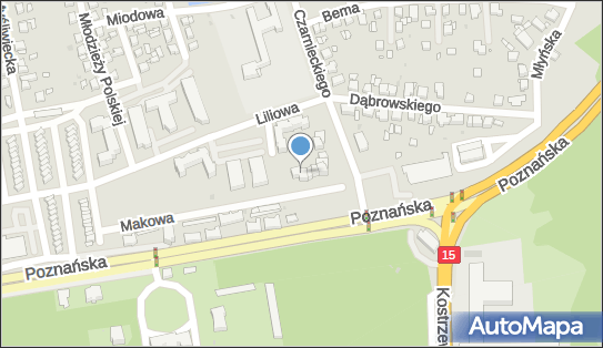 MFIZJO Michał Pawlikowski, hetm. Czarnieckiego Stefana 1b, Gniezno 62-200 - Lekarz, numer telefonu