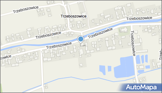 Lewiatan - Sklep, Trzeboszowice 33, Trzeboszowice 48-370, godziny otwarcia