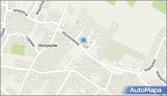 Lewiatan - Sklep, Ul. Wyzwolenia 21, Skrzyszów 44-348, godziny otwarcia