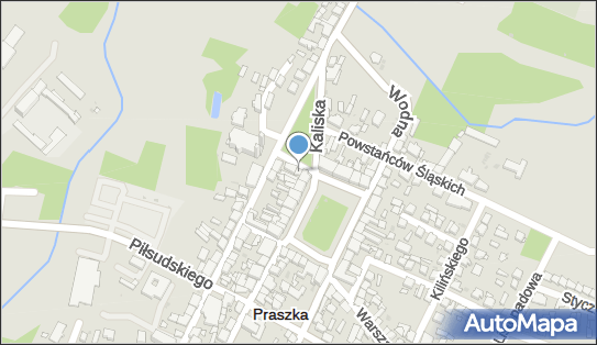 Lewiatan - Sklep, Plac Grunwaldzki 27, Praszka 46-320, godziny otwarcia