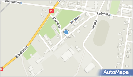 Lewiatan - Sklep, Al. Cukrownicza 11, Konin 62-506, godziny otwarcia
