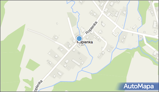 Lewiatan - Sklep, Ropienka 12, Ropienka 38-711, godziny otwarcia