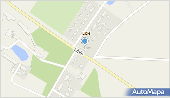 Lewiatan - Sklep, Lipie 13A, Gniewkowo 88-140, godziny otwarcia