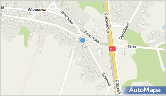 Lewiatan - Sklep, Szkolna 12, Wrzosowa 42-263, godziny otwarcia