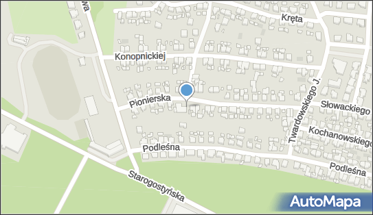 Lewiatan - Sklep, Pionierska 31, Gostyń 63-800, godziny otwarcia