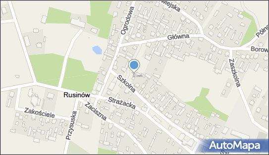 Lewiatan - Sklep, Szkolna 5, Rusinów 26-411, godziny otwarcia