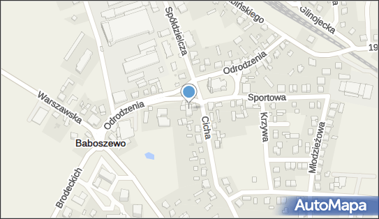 Lewiatan - Sklep, Odrodzenia 6, Baboszewo 09-130, godziny otwarcia