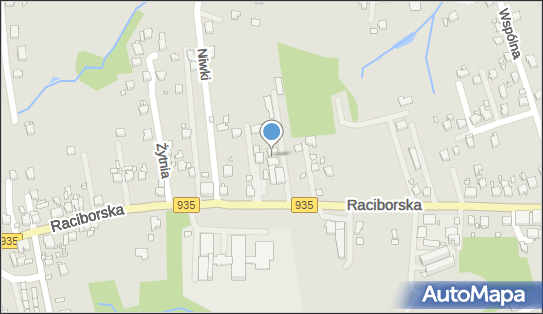 Lewiatan - Sklep, Raciborska 463, Rydułtowy 44-280, godziny otwarcia