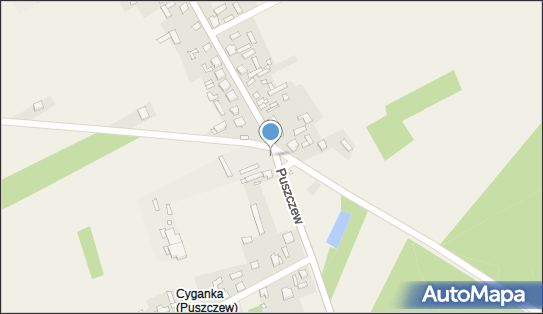 Lewiatan - Sklep, Puszczew 1, Puszczew 42-133, godziny otwarcia