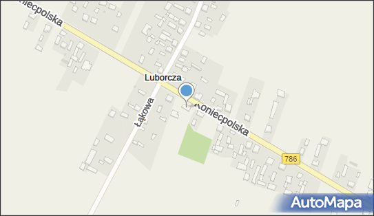 Lewiatan - Sklep, Koniecpolska 41, Luborcza, Koniecpol 42-230, godziny otwarcia