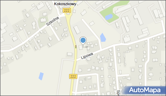 Lewiatan - Sklep, Gdańska 7, Kokoszkowy 83-207, godziny otwarcia