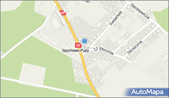 Lewiatan - Sklep, Ul. Mazurska 24, Spychowo 12-150, godziny otwarcia