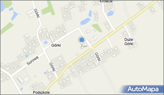 Lewiatan - Sklep, Górki 85A, Górki 39-305, godziny otwarcia