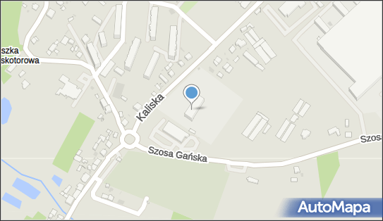 I Liceum Ogólnokształcace Im. Powstańców Śląskich W Praszce 46-320 - Liceum, numer telefonu