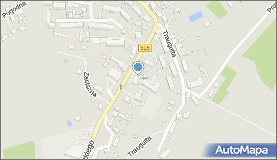 Liceum Ogólnokształcące Dla Dorosłych W Dzierzgoniu, Dzierzgoń 82-440 - Liceum, numer telefonu