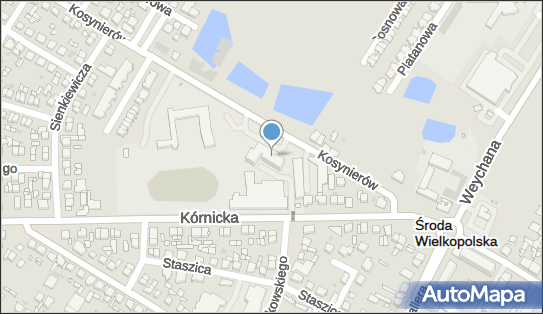 Liceum Profilowane Nr 3 Im. Jana Henryka Dąbrowskiego W Środzie Wlkp. 63-000 - Liceum, numer telefonu