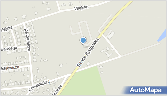 Lidl - Supermarket, ulica Henryka Sienkiewicza 39, Szubin 89-200, godziny otwarcia