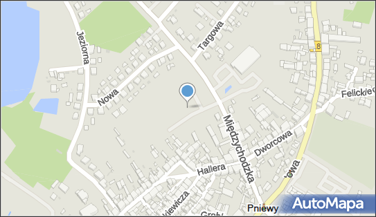 Lidl - Supermarket, ulica Międzychodzka 2B, Pniewy 62-045, godziny otwarcia