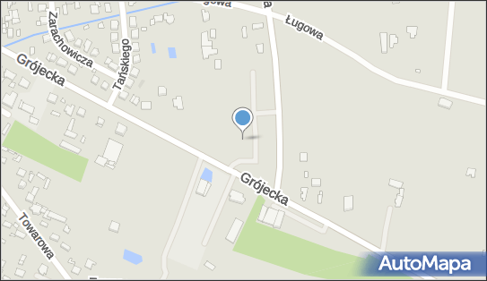 Lidl - Supermarket, ulica Wschodnia 26a, Mszczonów 96-320, godziny otwarcia