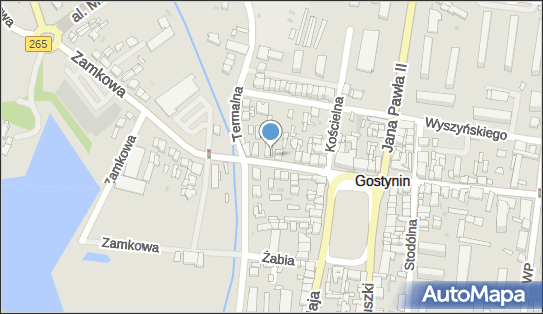 Lidl - Supermarket, Zamkowa 12, Gostynin 09-500, godziny otwarcia