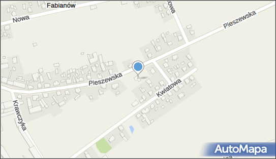 Livio - Sklep, Pleszewska 26, Fabianów 63-330