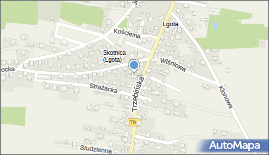 Lotto, TRZEBIŃSKA 33, Lgota 32-543
