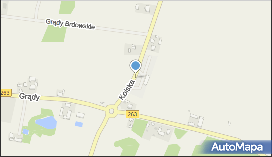 Stacja LPG, DW 270, Grądy Brdowskie - LPG - Stacja, godziny otwarcia