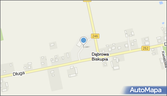 Stacja LPG, DW 252, Dąbrowa Biskupia - LPG - Stacja