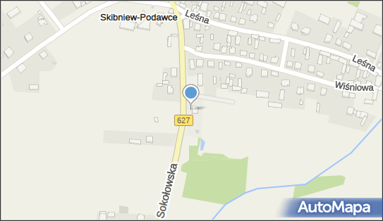 Stacja LPG, DW 627, Skibniew-Podawce - LPG - Stacja