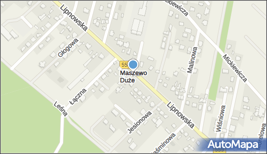 Netia Maszewo Duże Światłowód, Maszewo Duże, Maszewo Duże 09-400 - Media - Biuro, Oddział, godziny otwarcia, numer telefonu