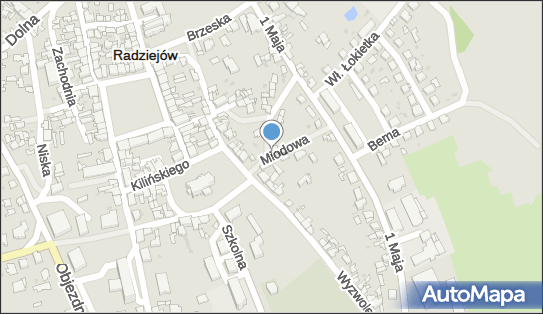 Światłowód TV Netia Radziejów-Zamów Usługi, Miodowa 88-200 - Media - Biuro, Oddział, godziny otwarcia, numer telefonu