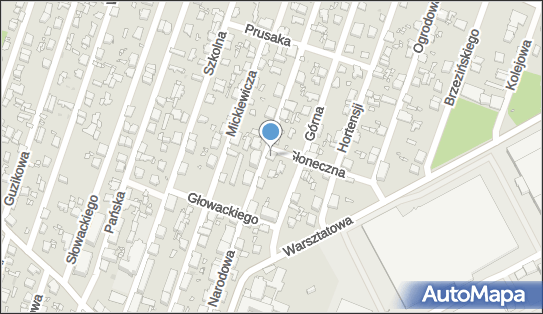 Sklep Mięsno Wędliniarski, Narodowa 26, Pruszków 05-800 - Mięsny - Sklep, NIP: 5341885048