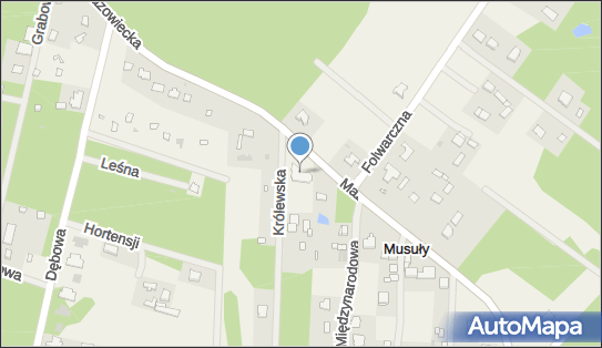 5342153092, Olesiński Krzysztof, Supersam 