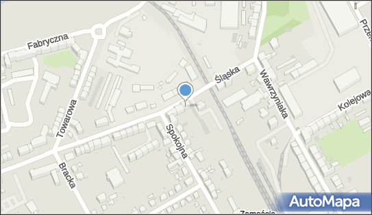 Sklep Ogólnospożywczy Wędliny, Śląska 5, Gorzów Wielkopolski 66-400 - Mięsny - Sklep, NIP: 5991773503