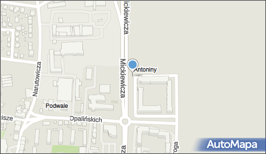 Kamera - monitoring osiedlowy, Mickiewicza Adama, Leszno 64-100 - Monitoring miejski