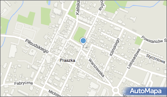 Monitoring miejski, Plac Grunwaldzki 13, Praszka 46-320 - Monitoring miejski