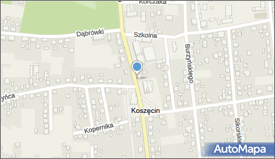 Monitoring miejski, Sobieskiego907, Koszęcin 42-286 - Monitoring miejski