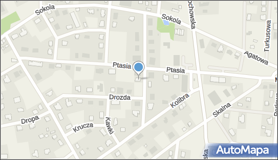 9532186464, Sklep Spożywczo Monopolowy Na Ptasiej Wojciech Borakiewicz 