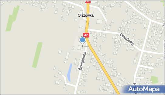 Moya, Ściegienna 2, Pajęczno 98-330, godziny otwarcia, numer telefonu