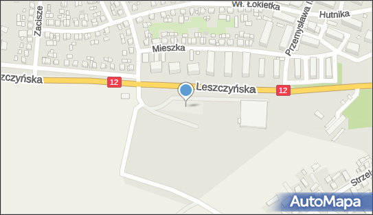 Moya, Leszczyńska 7, Gostyń 63-800, godziny otwarcia