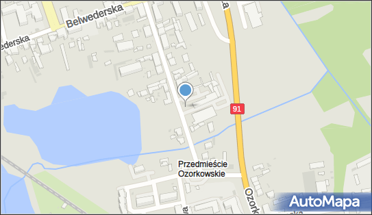 ORLEN Paczka Automaty, Ozorkowska 25, Łęczyca 99-100, godziny otwarcia