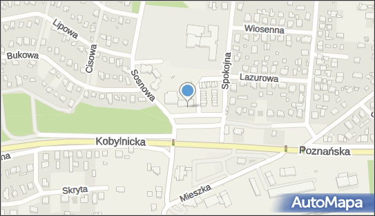 ORLEN Paczka Automaty, Plac Piastowski 2, Jerzykowo 62-007, godziny otwarcia