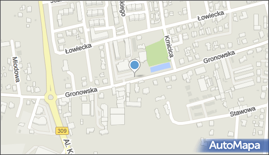 ORLEN Paczka Automaty, Gronowska 11, Leszno 64-100, godziny otwarcia